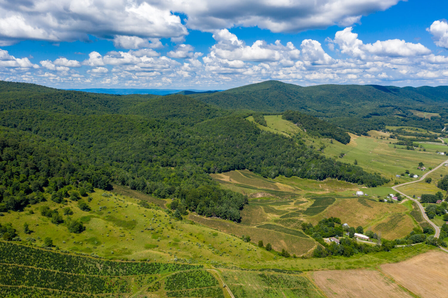 Elk Creek - Berkshire Hathaway HomeServices Mountain Sky Properties